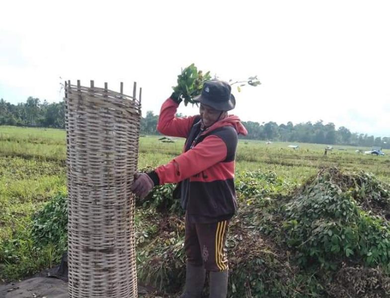 Harga Jual Kacang Tanah di Bulukumba Tembus Rp600 Ribu 