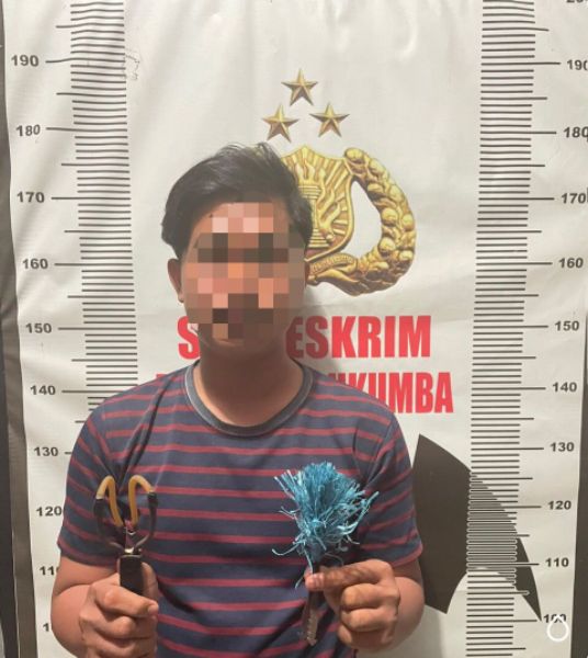 Tersinggung, Motif Pembusuran Pemuda Ela-ela 