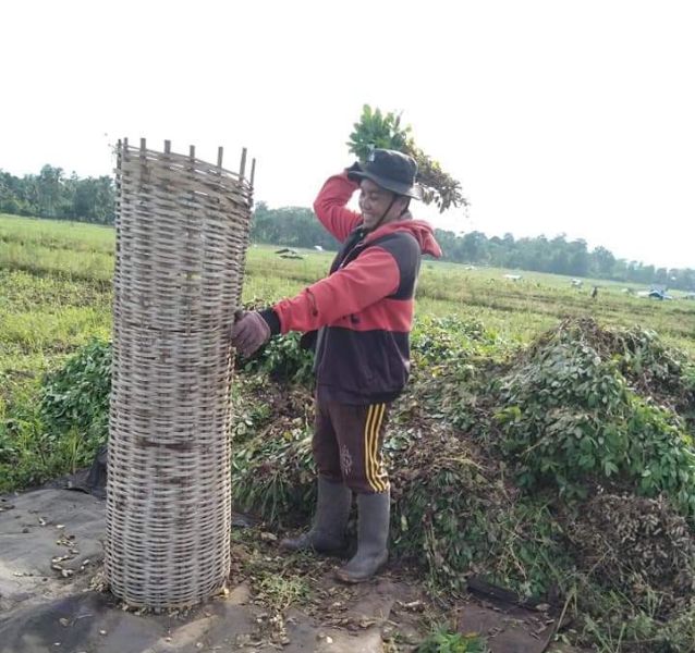 Petani Bulukumba Gembira, Harga Kacang Tanah Naik Saat Panen 