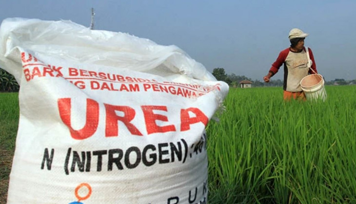 Kabupaten Bulukumba Ketambahan Kuota Pupuk Subsidi 13 Ribu Ton
