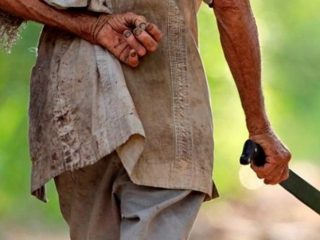 Diduga, Gegara Ternak Sapi, Kakek Tega Parangi Tetangga Sendiri