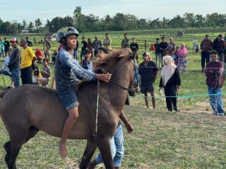 Pordasi: Pacuan Kuda Dipastikan Digelar di Bontonyeleng, ini Jadwalnya