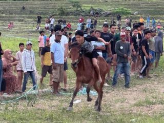 Ini Kabupaten Ikut Ambil Bagian Latber Pacuan Kuda di Desa Bontonyeleng