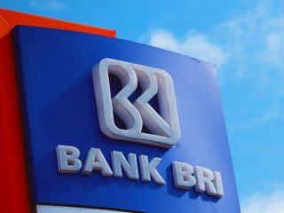 Penyaluran KUR di Bulukumba Lampaui Target, UMKM Terus Berkembang