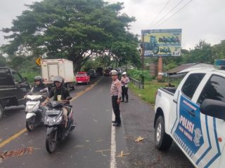 Pohon Tumbang, Polisi Lalulintas Turun Atur Kemacetan