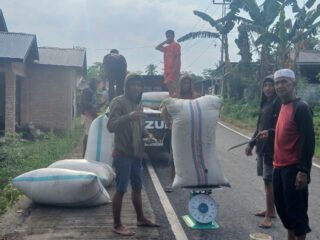 Harga Gabah di Bulukumba Tembus Rp6600 per Kilogram