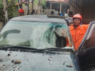 Mobil Warga Ela-ela Tertimpa Pohon Tumbang 