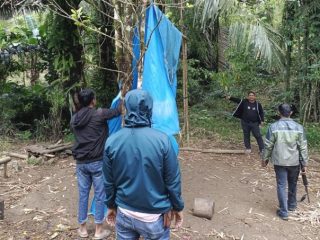 Gagal Tangkap Pelaku, Polisi Bakar Arena Judi Sabung Ayam di Desa Garutungan