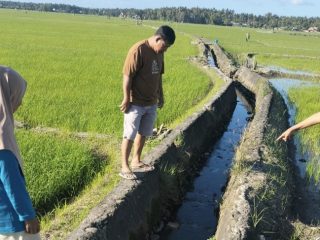 Mayat Bayi Dalam Plastik Hitam Ditemukan Warga di Irigasi Sawah Manjjaling Ujung Loe
