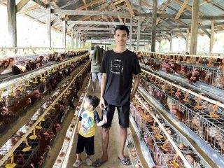 Harga Telur Turun, Pakan Naik, Peternak Minta Pemda Cari Solusi